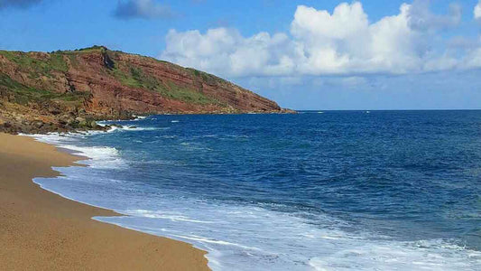 How Spending Time in Nature Supports Mental and Emotional Wellbeing