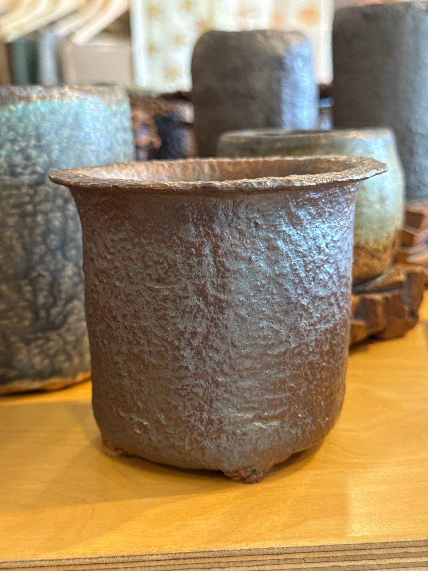 Flower and succulent pot 9