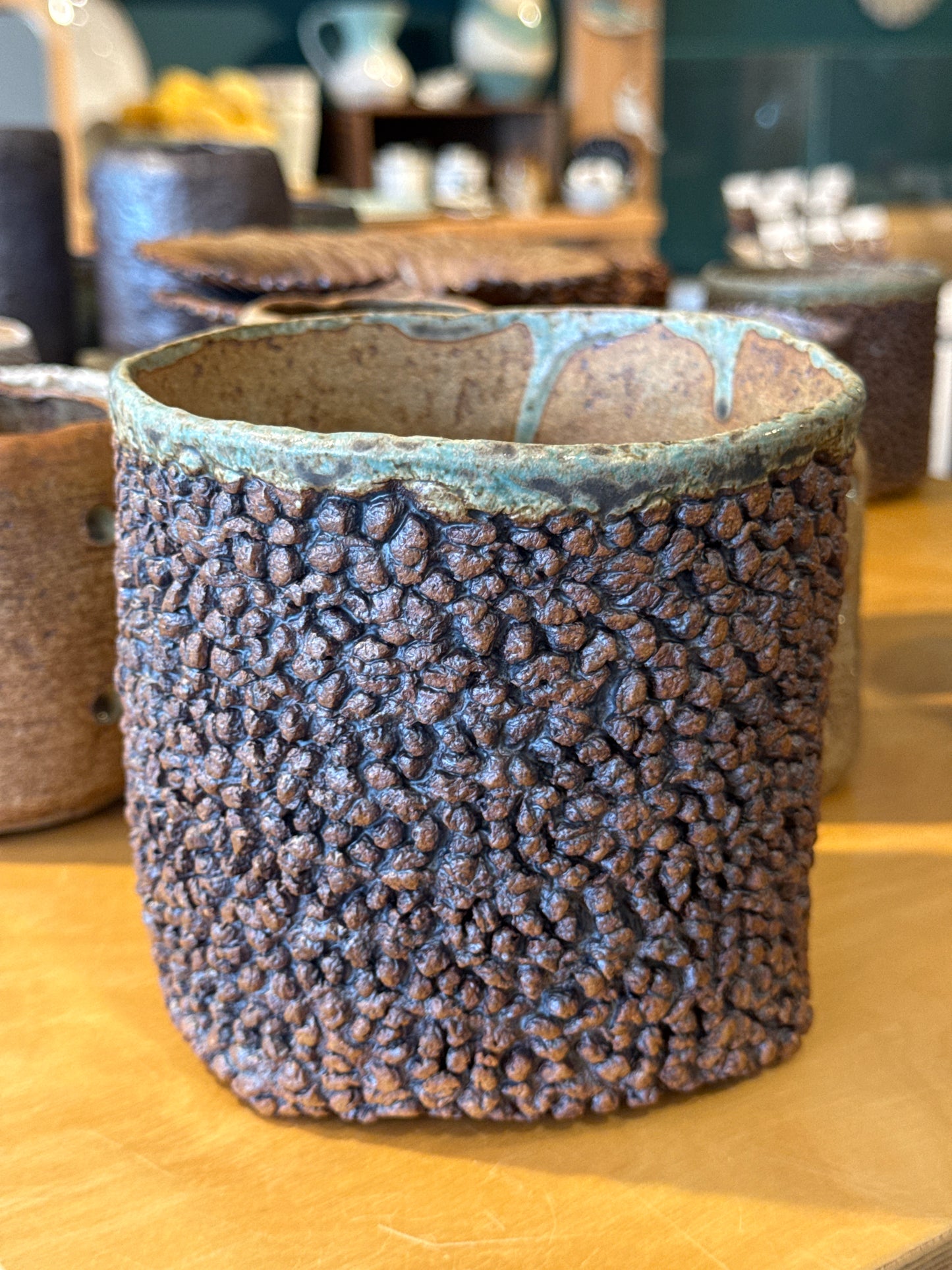 Flower and succulent pot 13