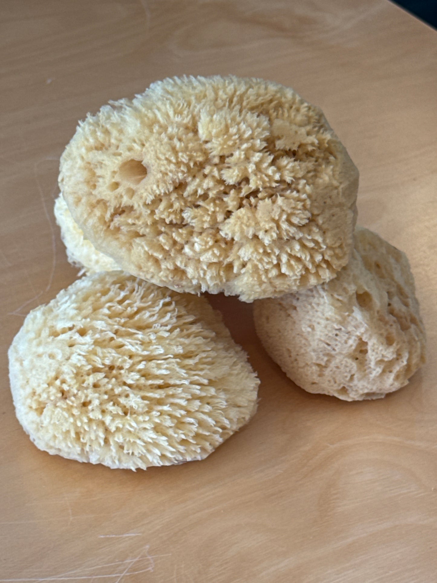 100% Natural Sea Sponge