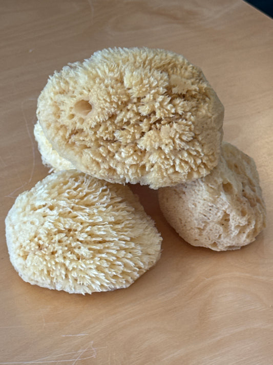 100% Natural Sea Sponge