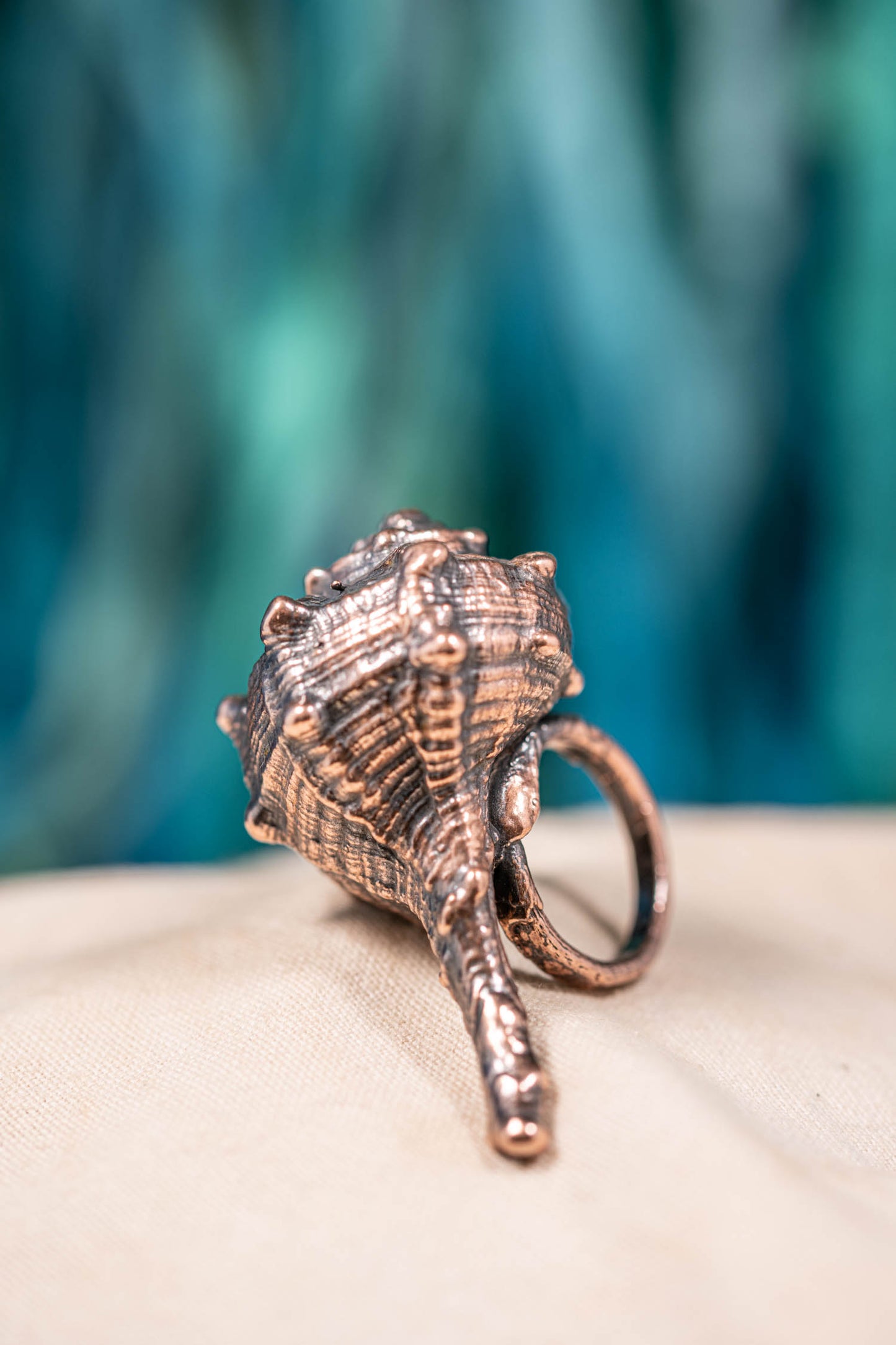 seashell statement ring made with a real shell