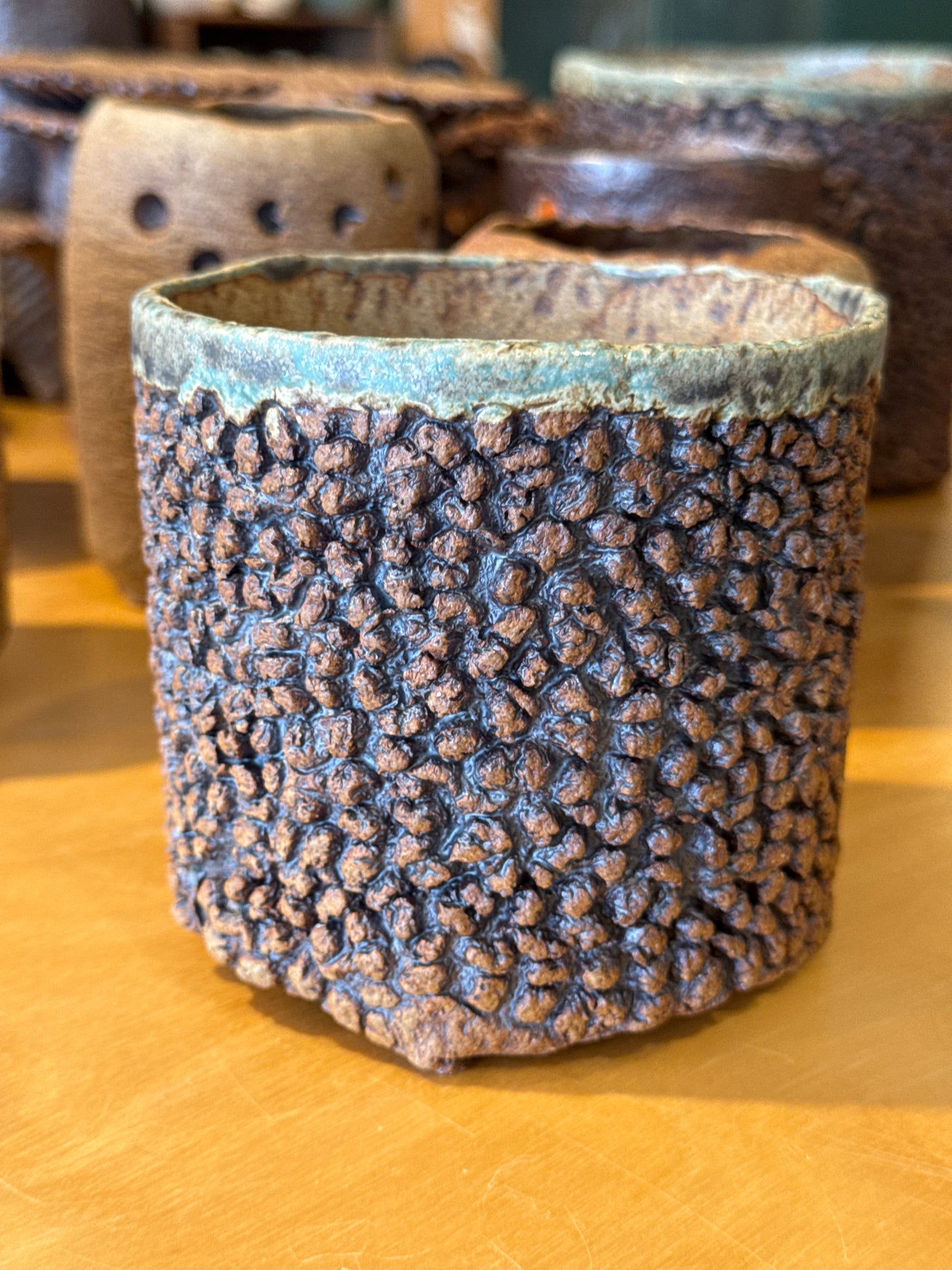Flower and succulent pot 12