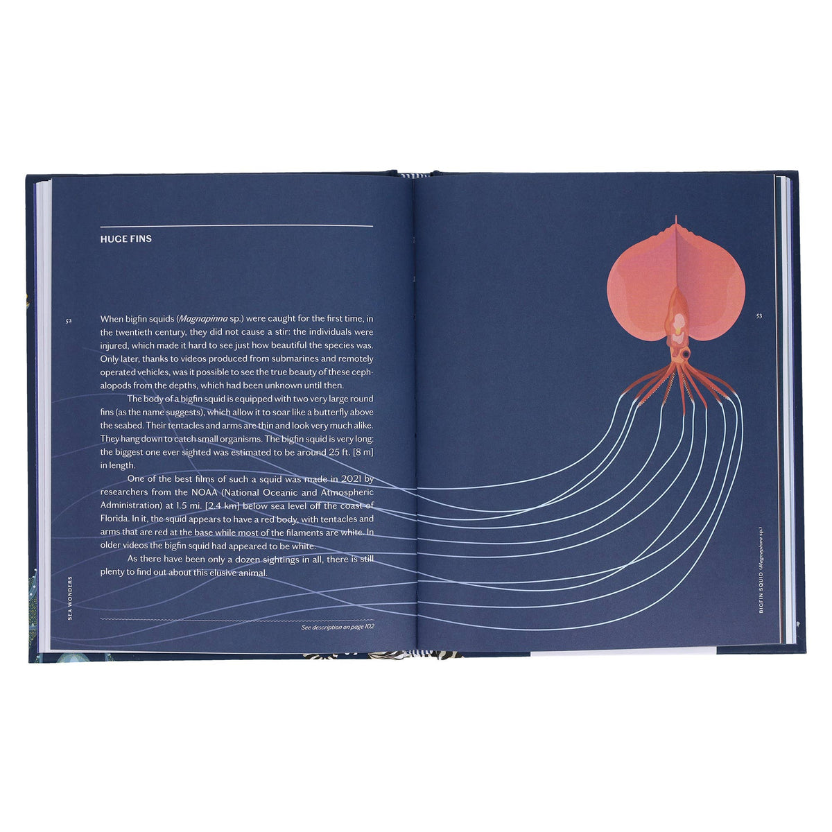 Sea Wonders - styled view