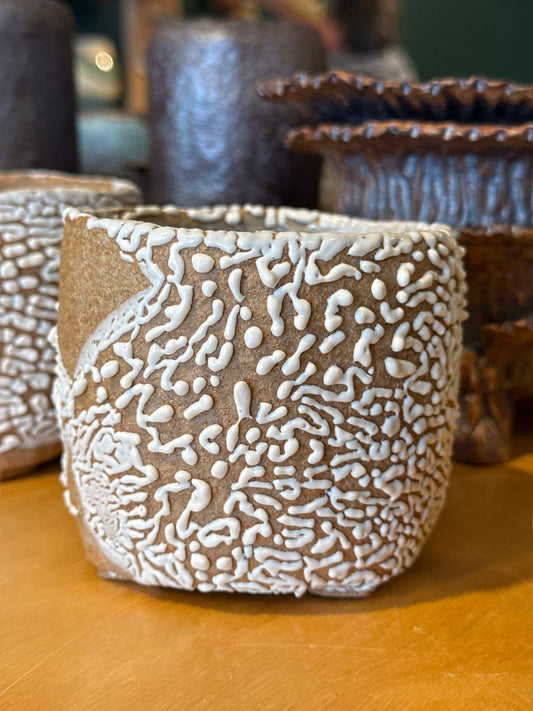 Flower and succulent pot 6-8