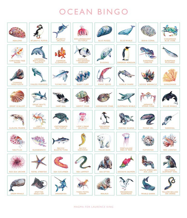 Ocean Bingo