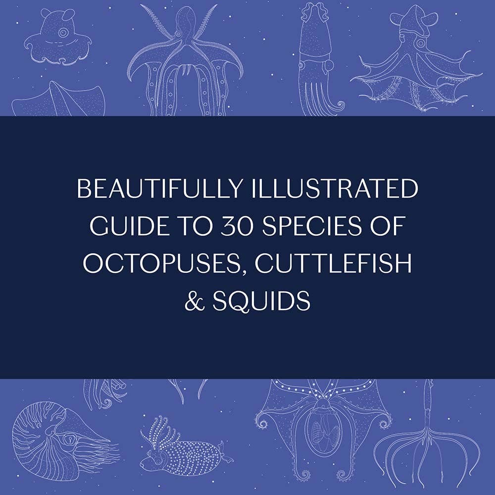 Sea Wonders - close-up