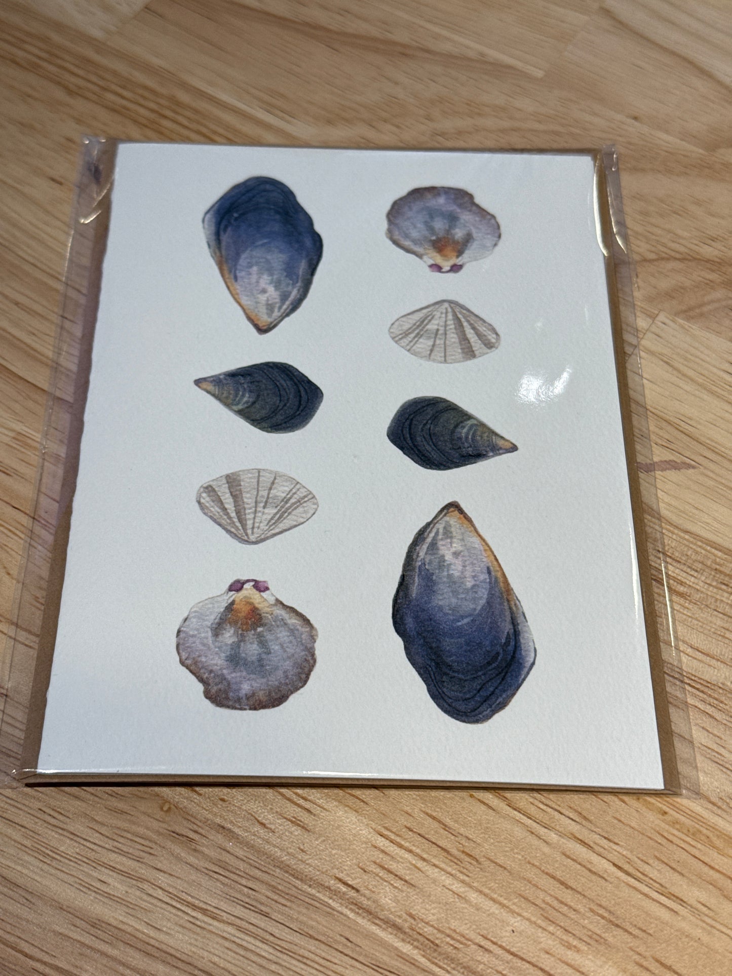 Shells blank card