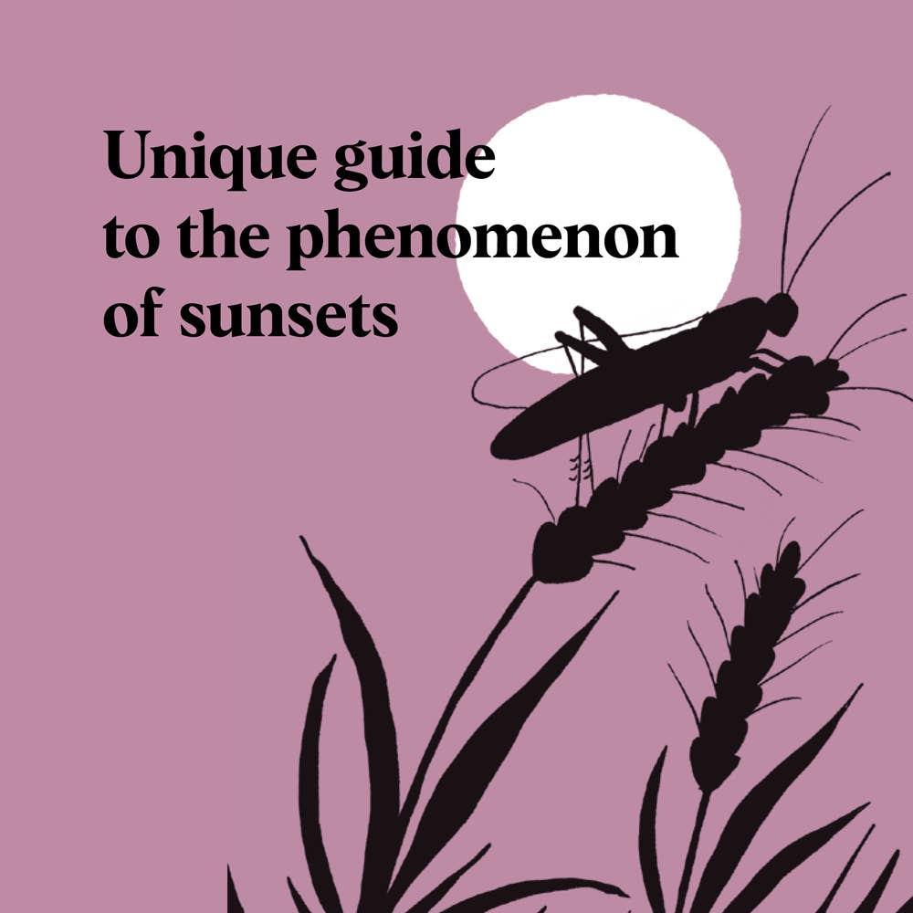 Pocket Nature: Sunset Seeking