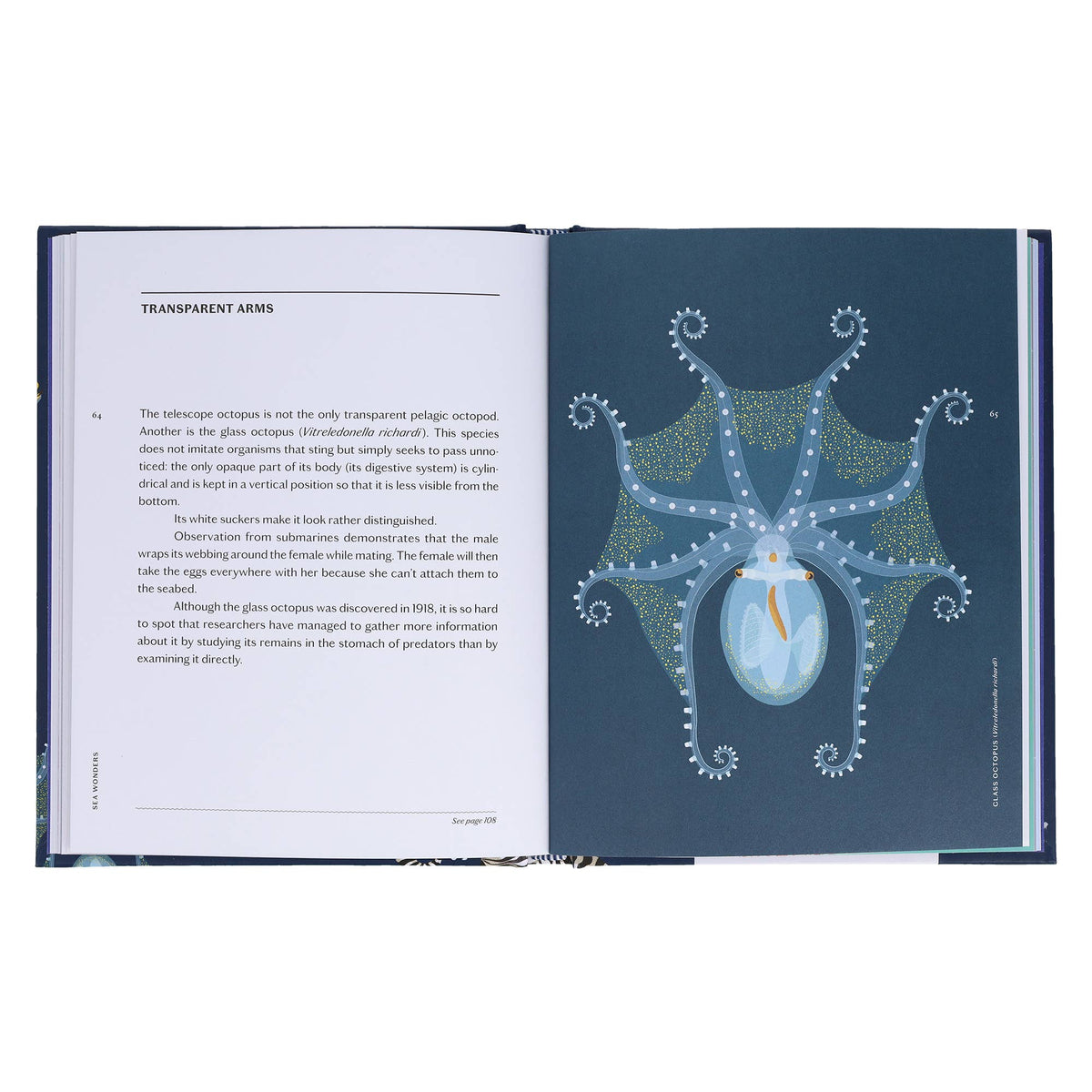 Sea Wonders - shown in use