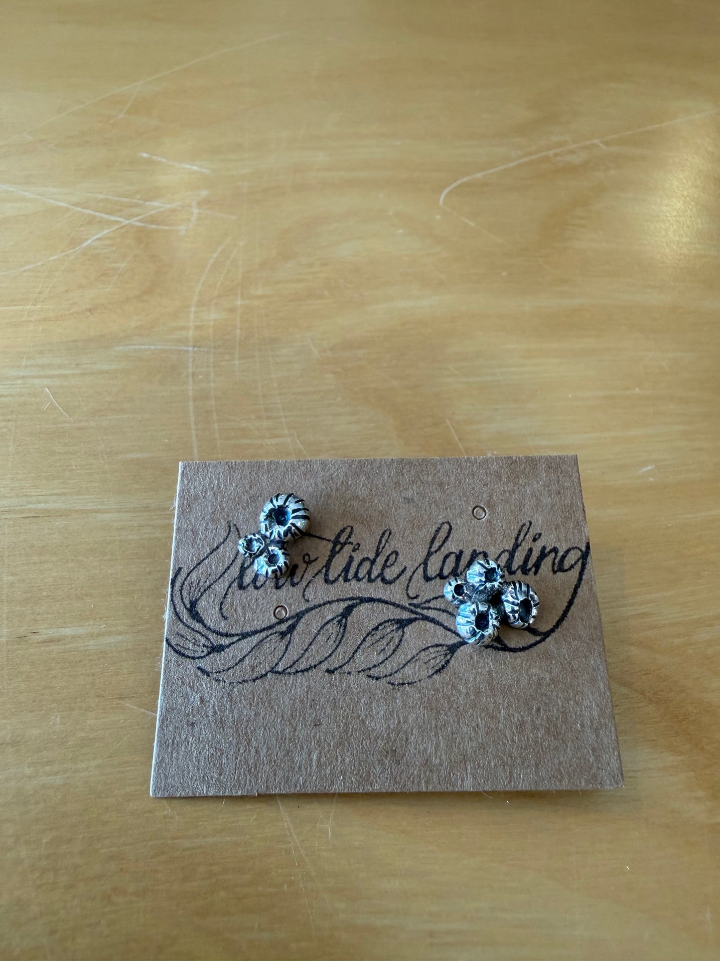 Conch / Whelk Stud Earrings