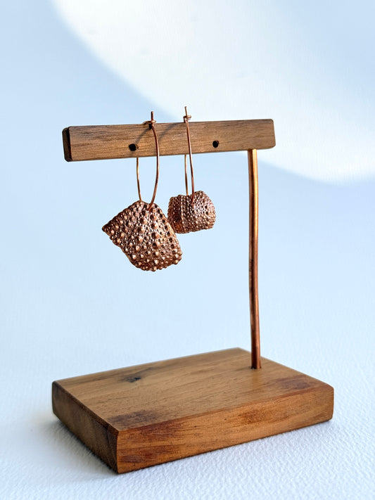 Sea Urchin Shell Hoop Earrings in Copper