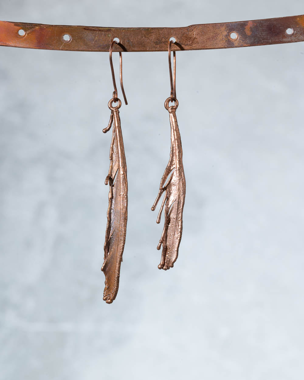 Real Feather Earrings in Copper