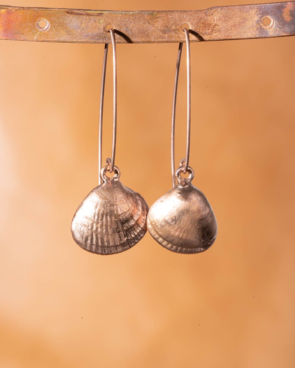 Clam Shell Dangle Earrings