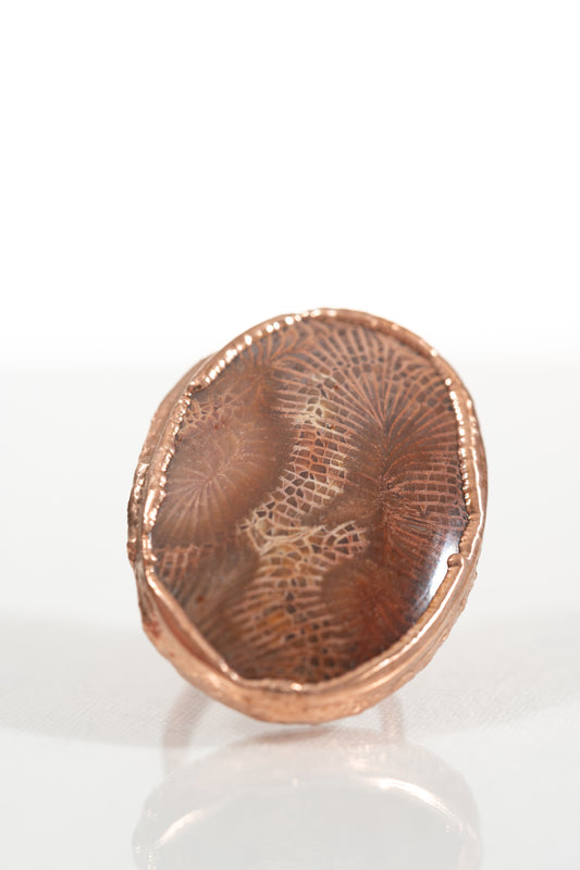 Fossilized Coral Ring sz 7