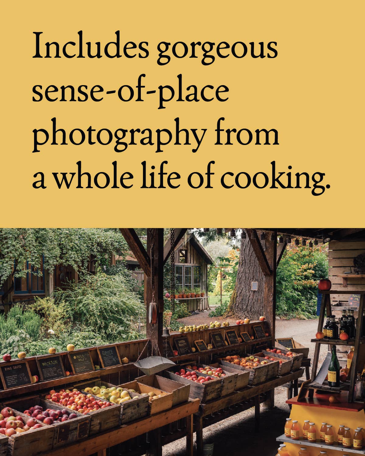 Six California Kitchens
