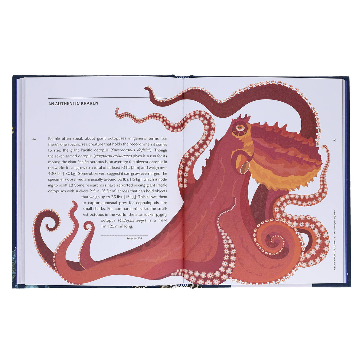 Sea Wonders - side view