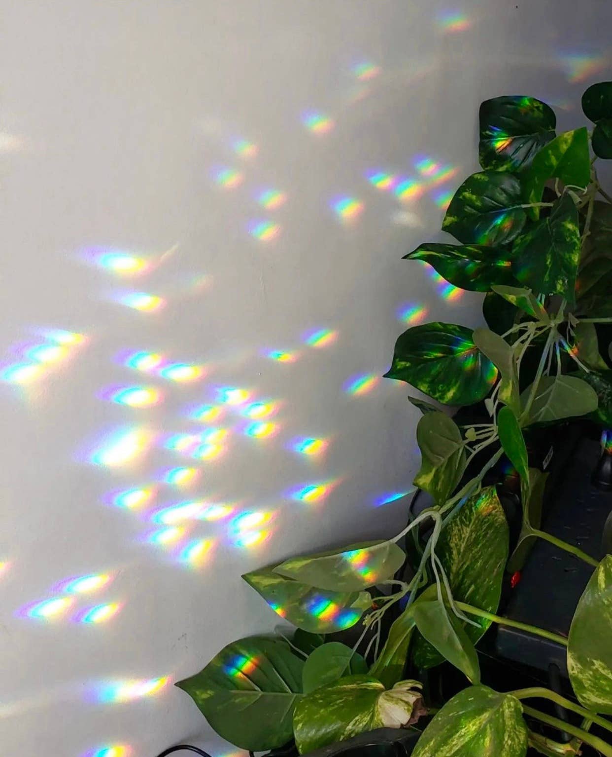 Illuminate Light Catcher