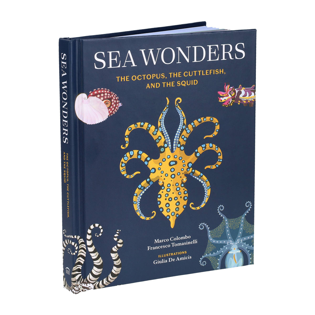 Sea Wonders - alternate angle