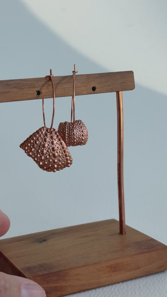 Sea Urchin Shell Hoop Earrings in Copper